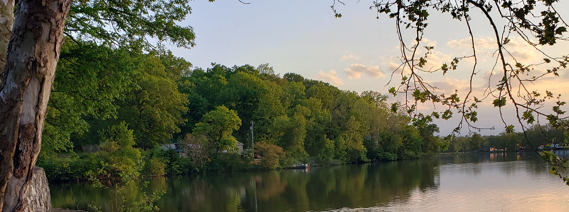 Lake shoreline