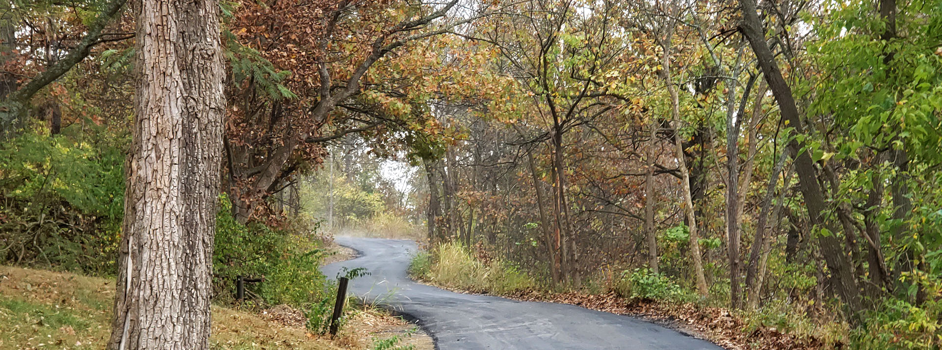 Winding road
